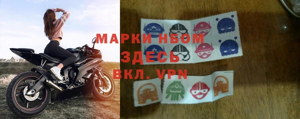 мдпв Инсар
