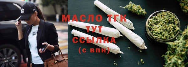 мдпв Инсар