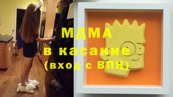 мдпв Инсар