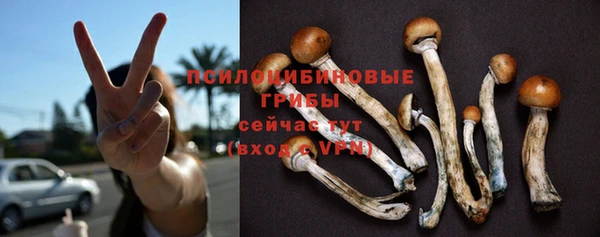 дмт Инта