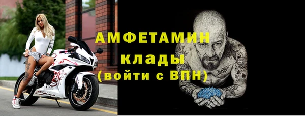 индика Зеленокумск