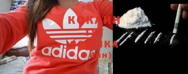 индика Зеленокумск