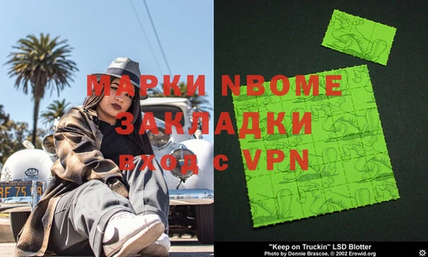 мдпв Инсар
