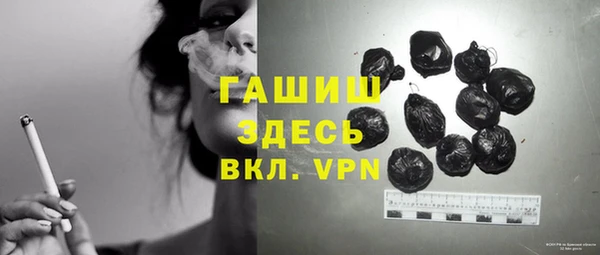 мдпв Инсар