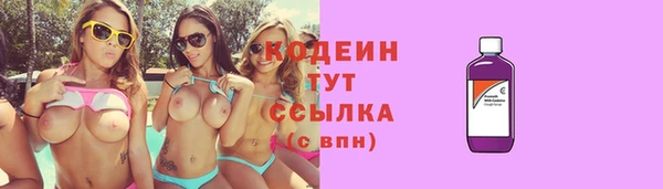 дмт Инта
