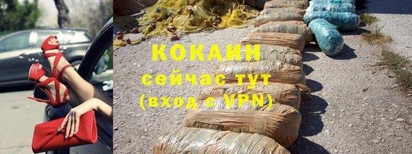 дмт Инта