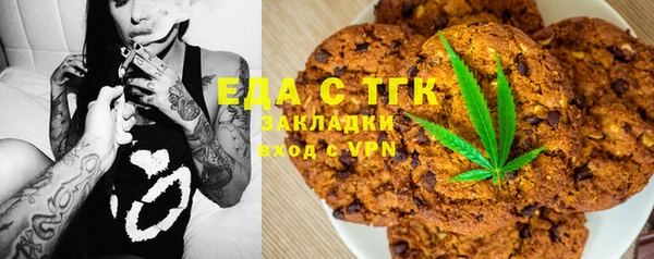 мдпв Инсар