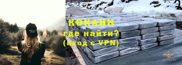 дмт Инта