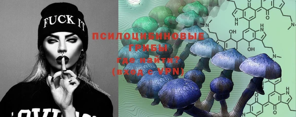 дмт Инта