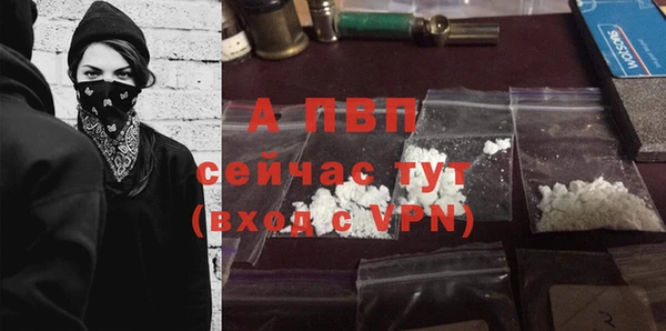 индика Зеленокумск